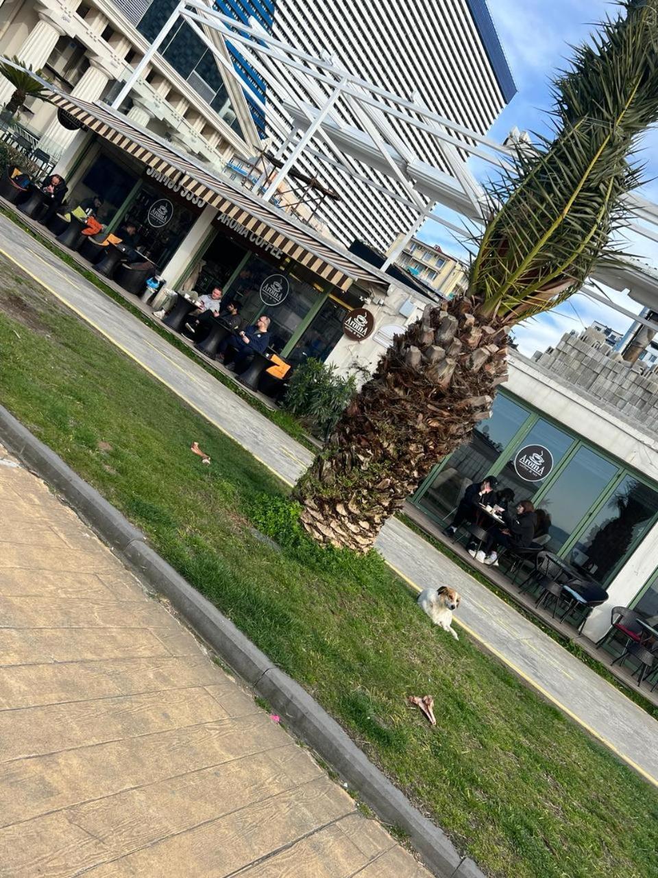 Hotel Paris Batumi Kültér fotó